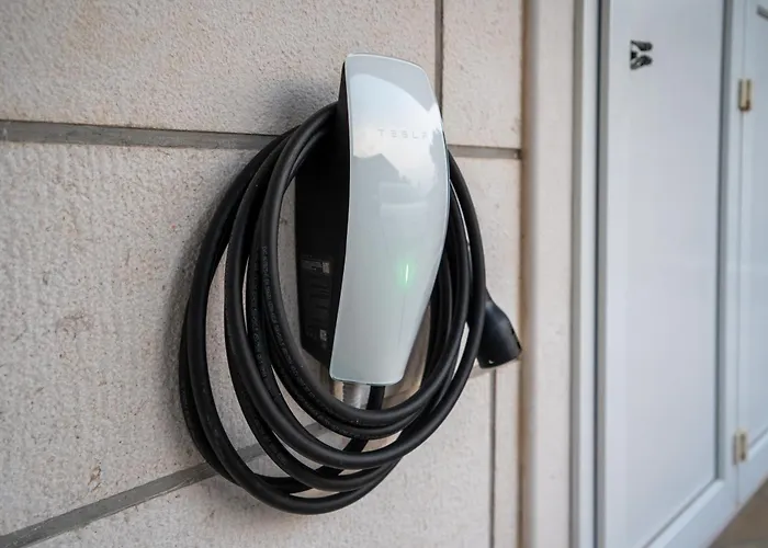 Swiss * קאבטאט